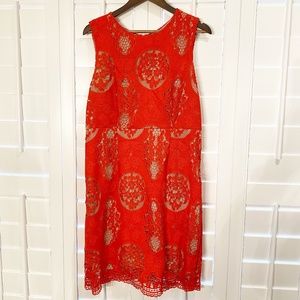 Gianni Bini Midi Lace Dress Size L